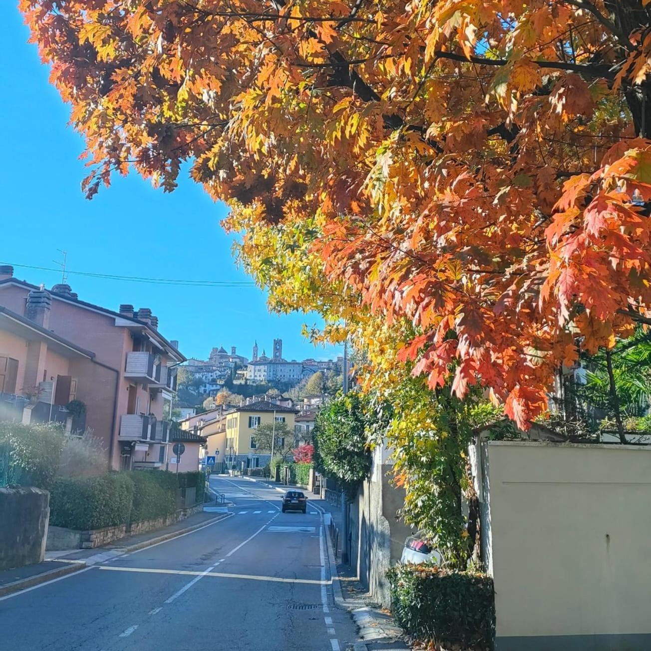 Nelly Bergamo Apartments ภายนอก รูปภาพ
